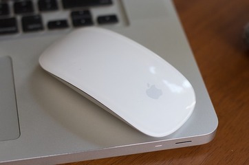 mouse-586244_640.jpg